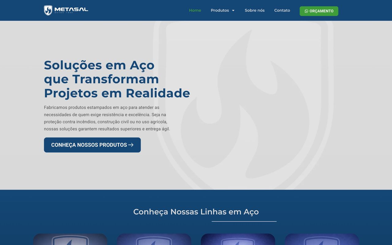 Captura do site Metasal